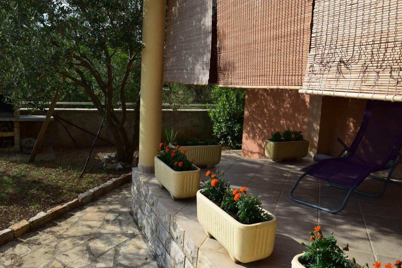 Vodice Family Apartment Εξωτερικό φωτογραφία